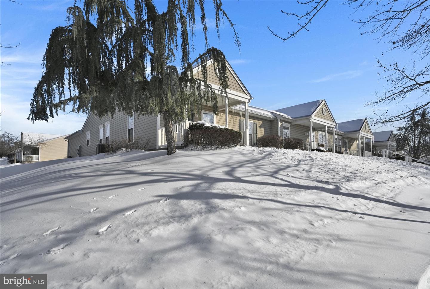 112 W Harmony Drive photo 4