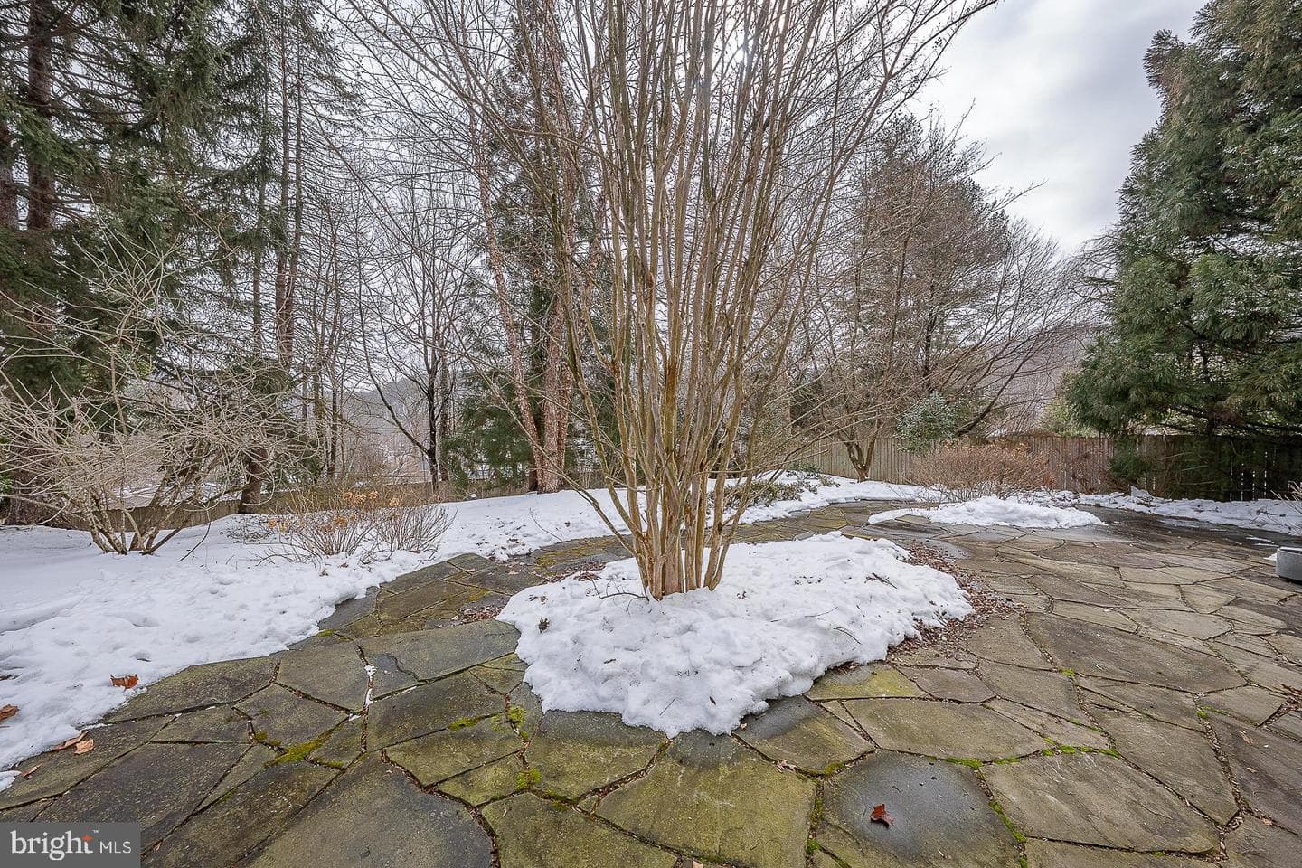 173 Gypsy Lane photo 11