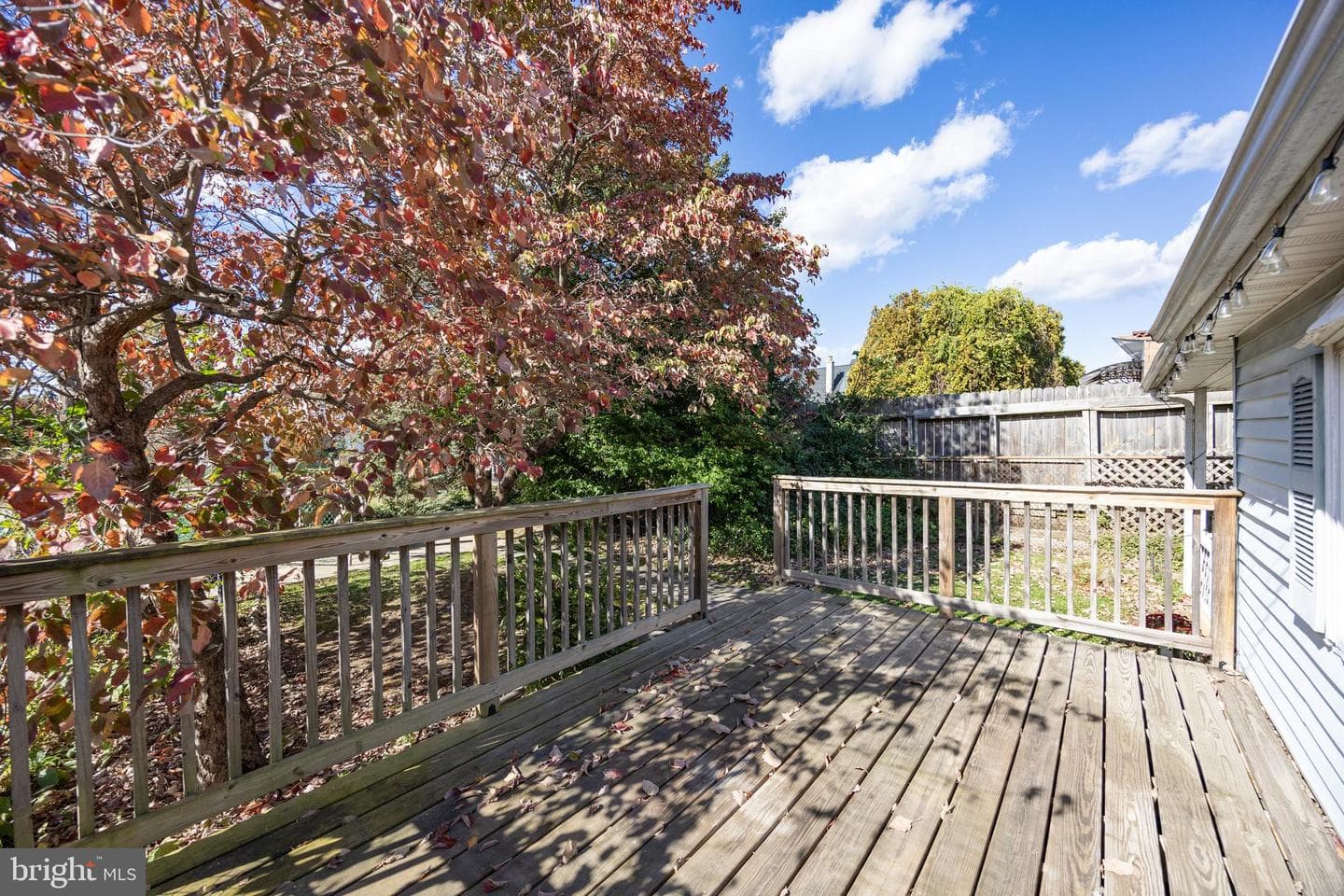 264 Roberts Avenue photo 24