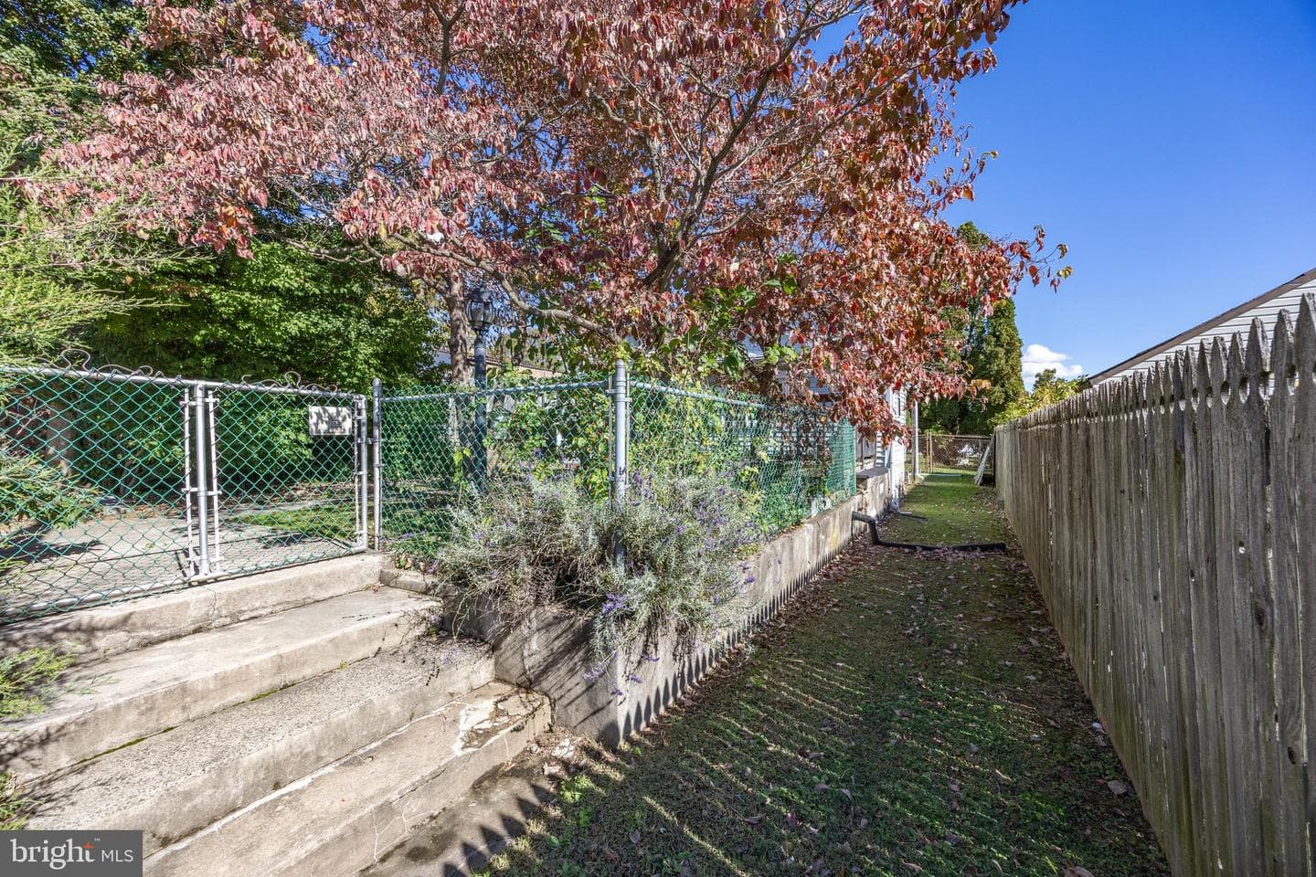 264 Roberts Avenue photo 29