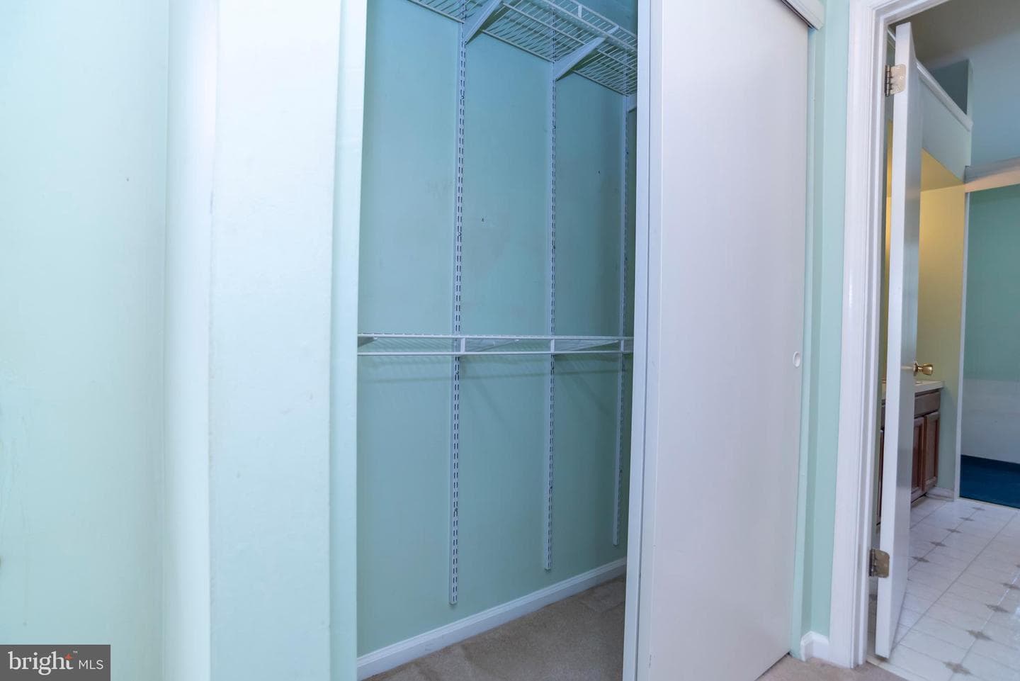 111 Sarahs Lane photo 35