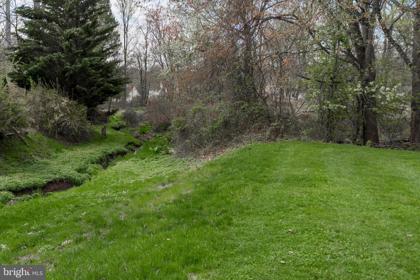 111 Sarahs Lane photo 44