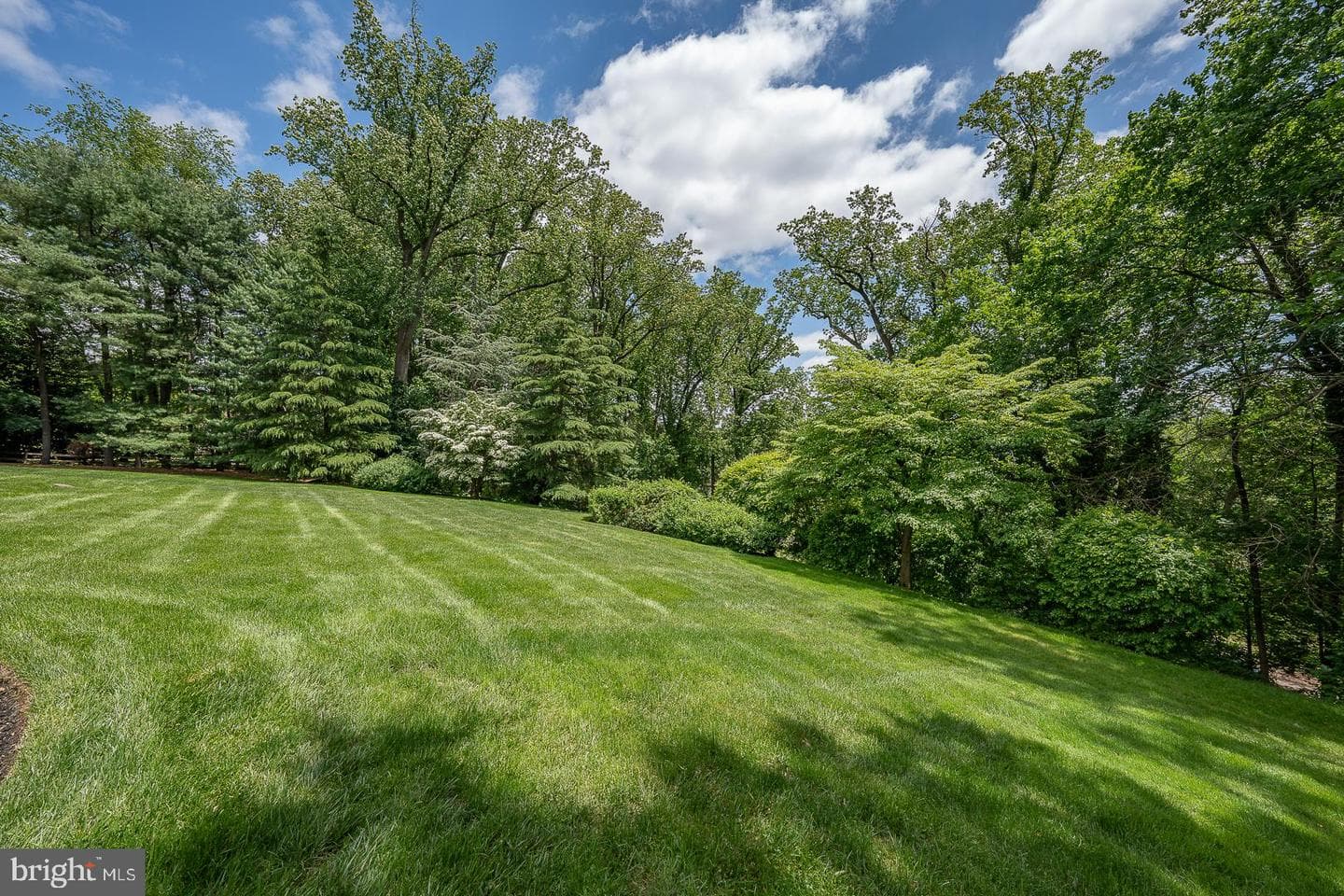 1109 Brynlawn Road photo 10