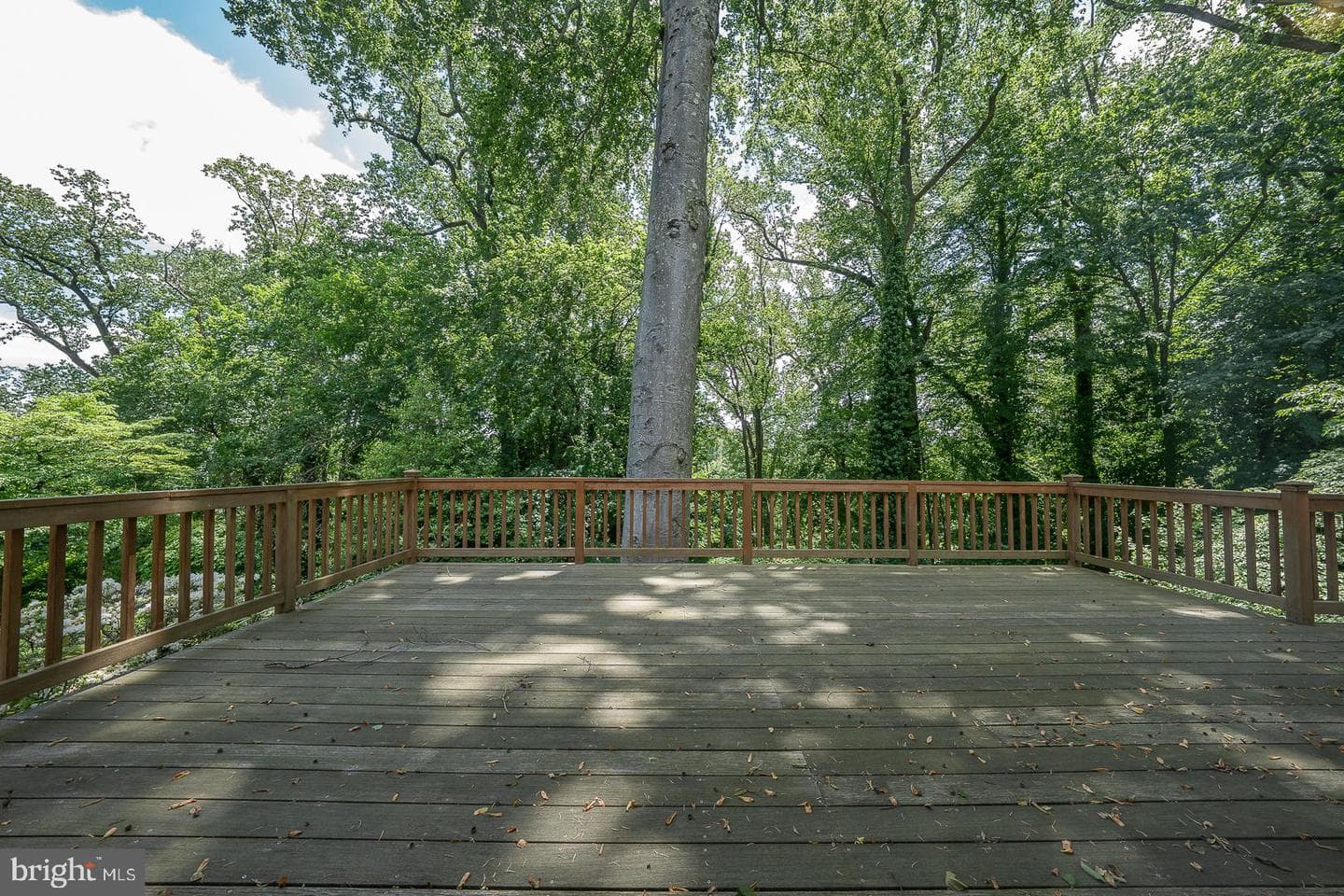 1109 Brynlawn Road photo 17