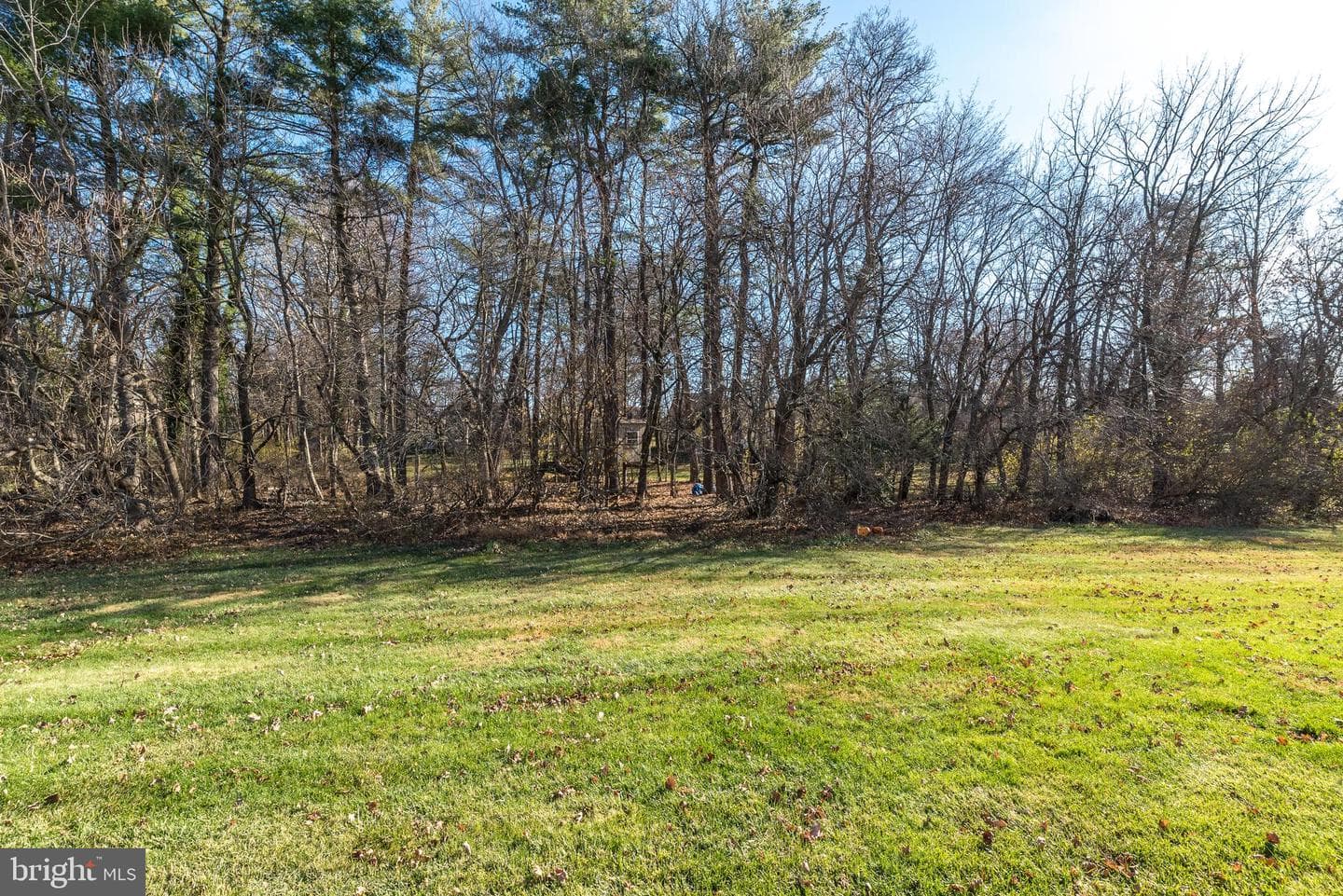501 N Bethlehem Pike ##7-D photo 24