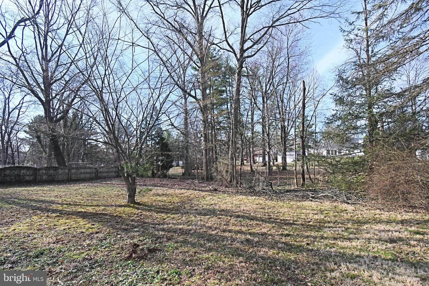 128 Oakdale Avenue photo 77