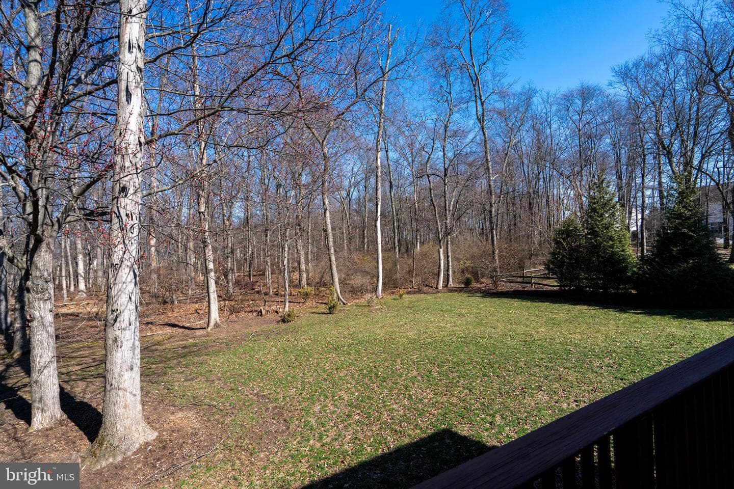 1337 Stoney River Drive photo 58
