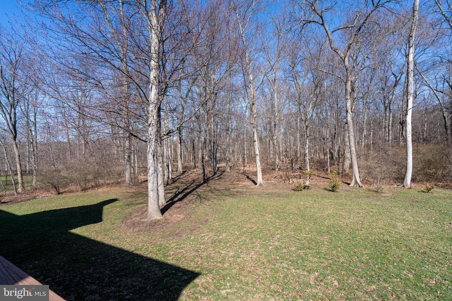 1337 Stoney River Drive photo 61
