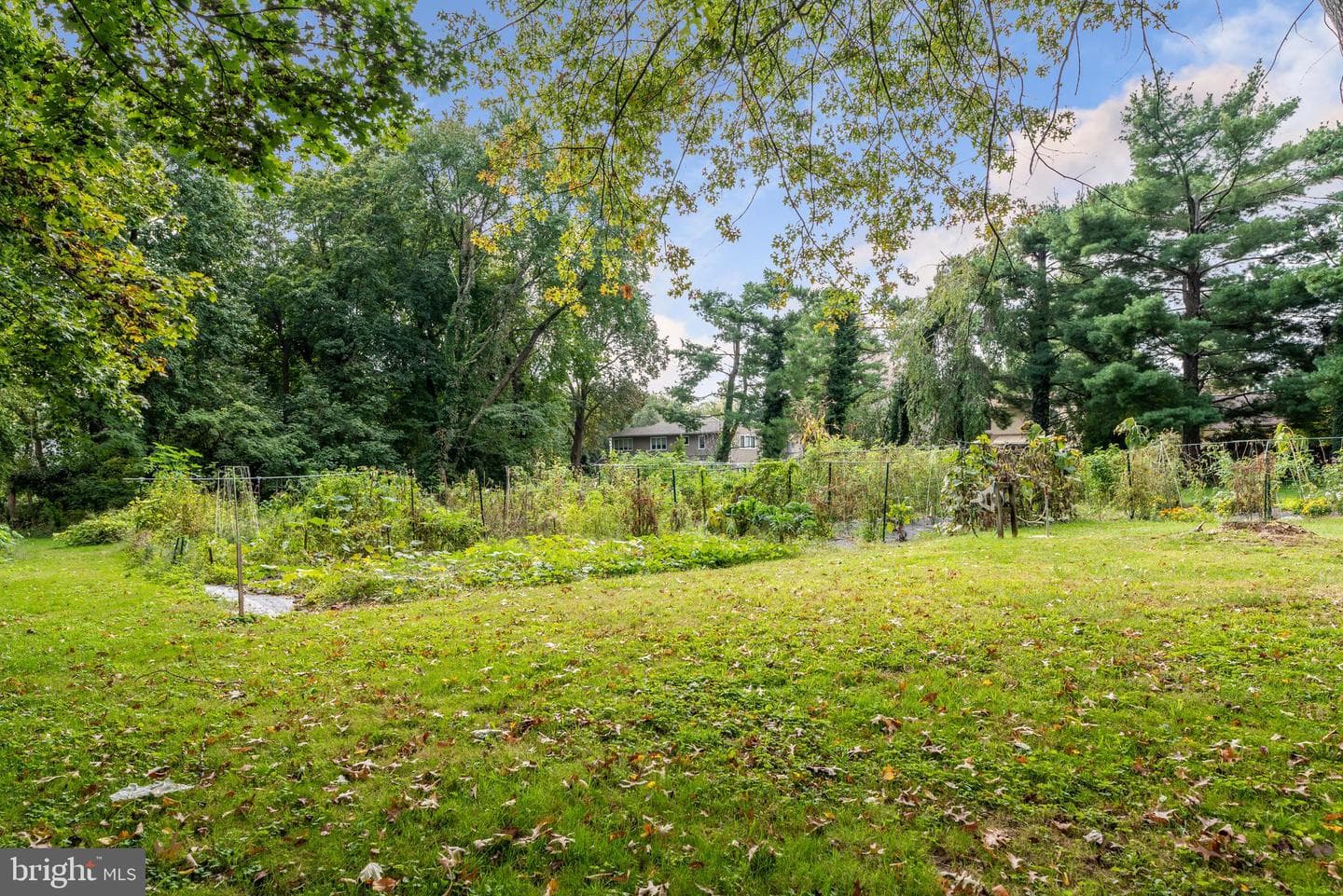 210 Kent Road photo 66