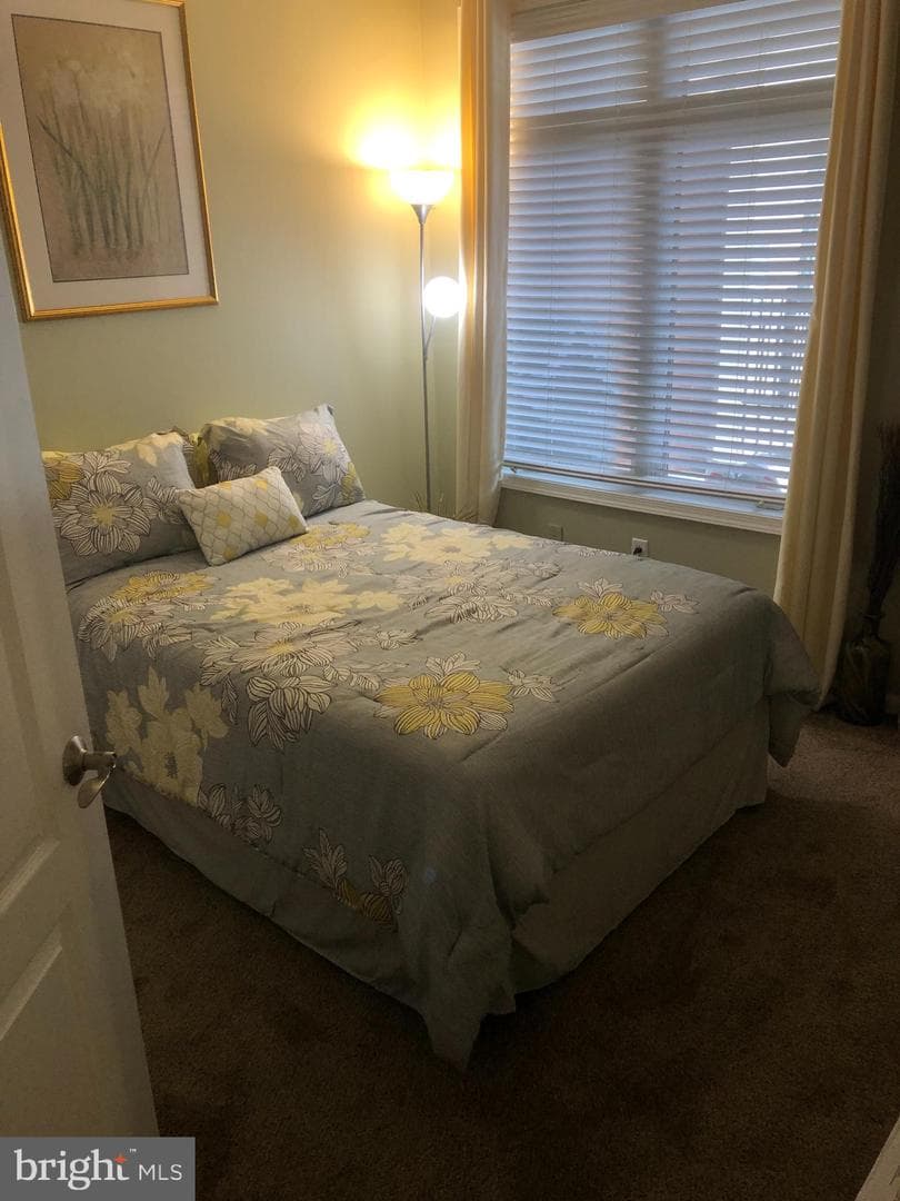 239 Carson Terrace #239 photo 14