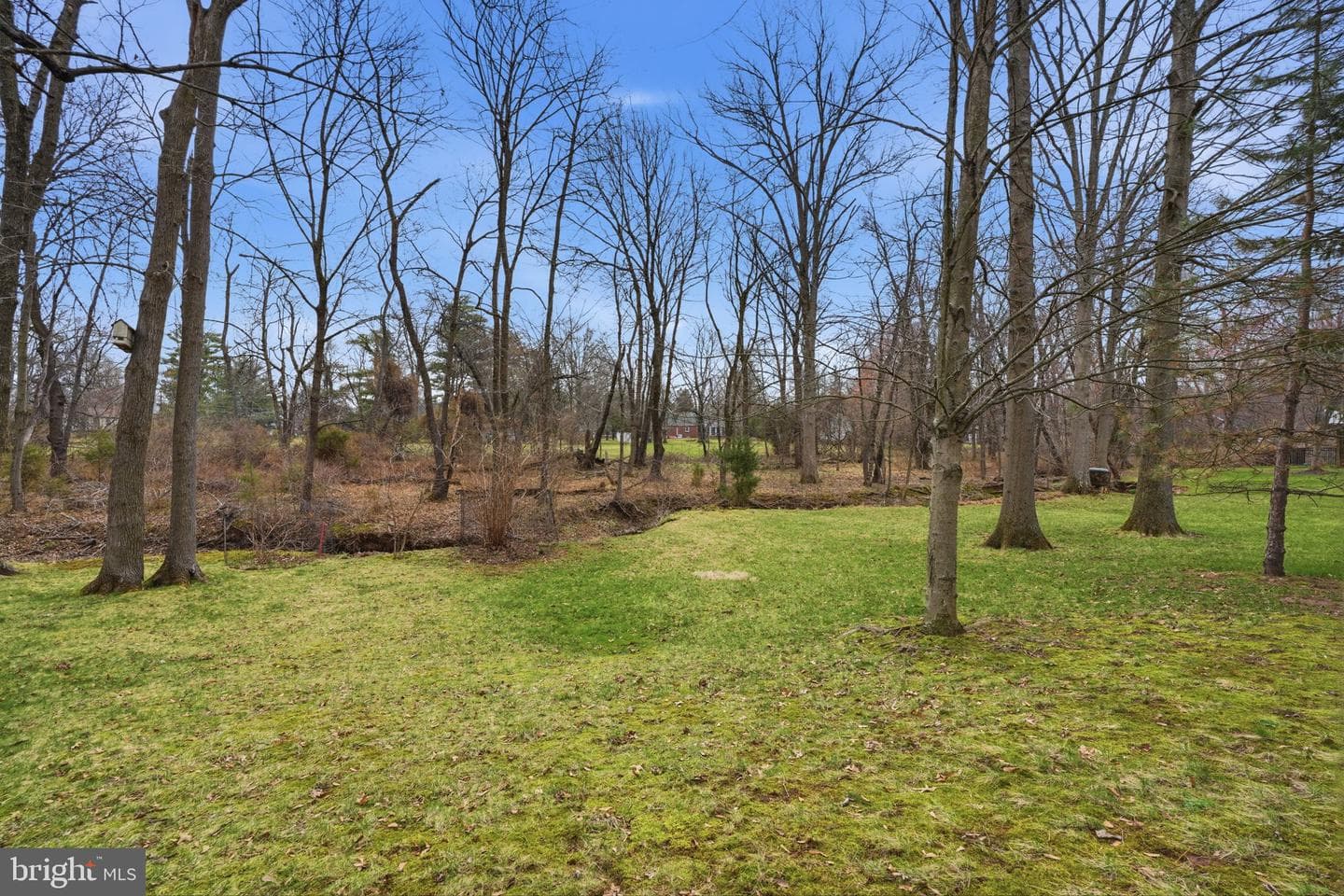 1514 Maple Avenue photo 33