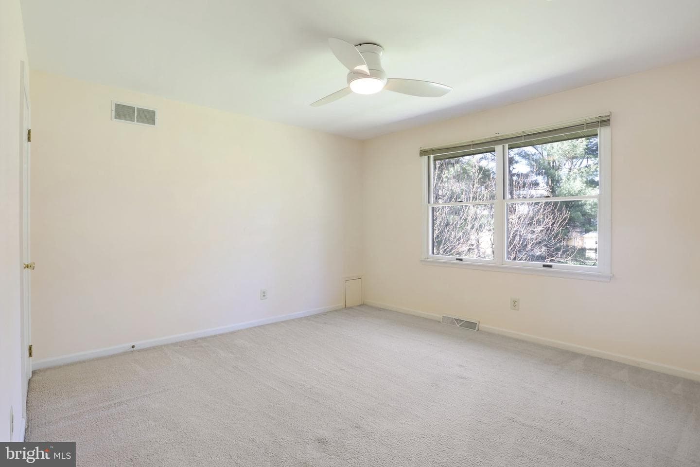 1 Saljon Court photo 46