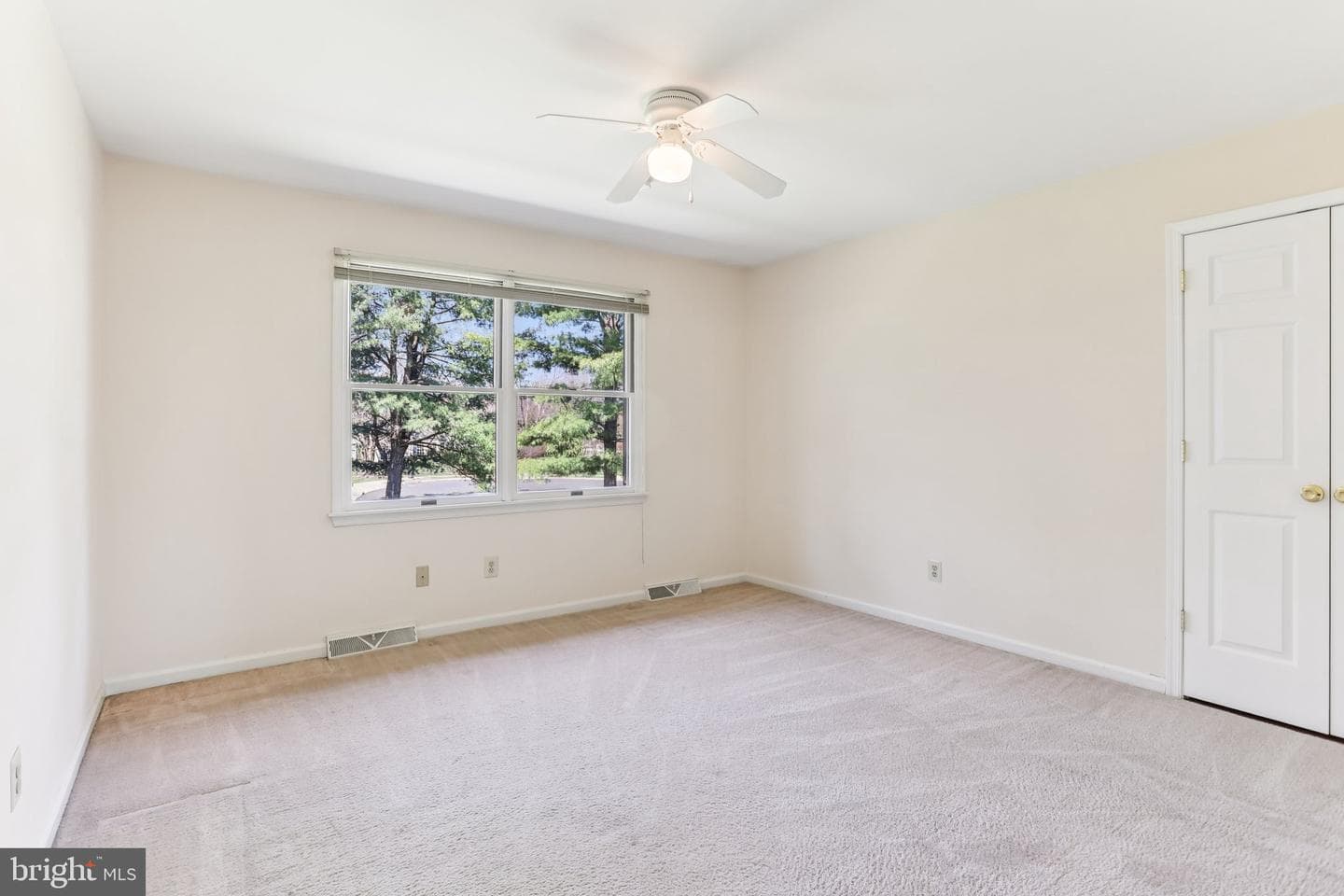 1 Saljon Court photo 50