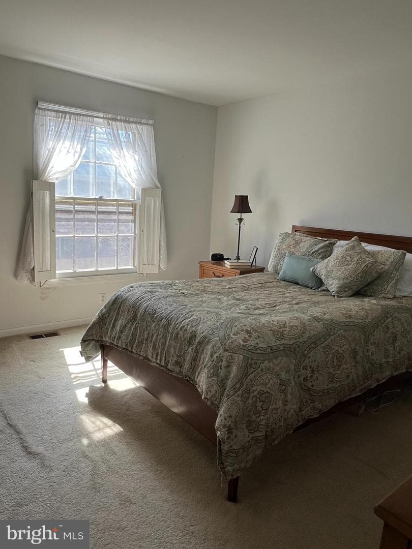 154 Albemarle Drive photo 17