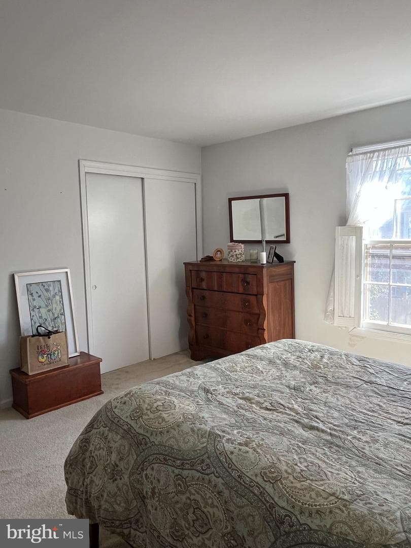 154 Albemarle Drive photo 18