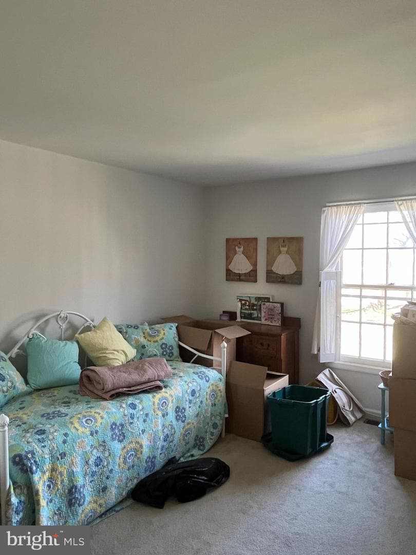 154 Albemarle Drive photo 20