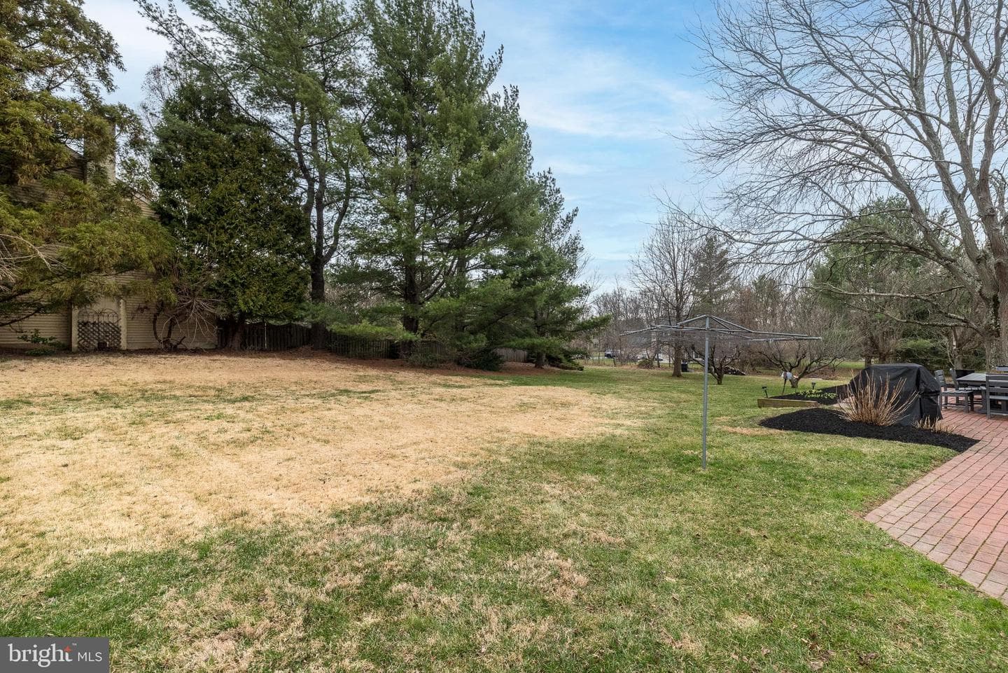 221 Stefan Place photo 59