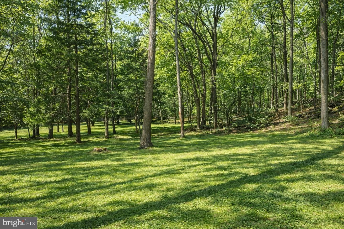 941 Cedar Road photo 10
