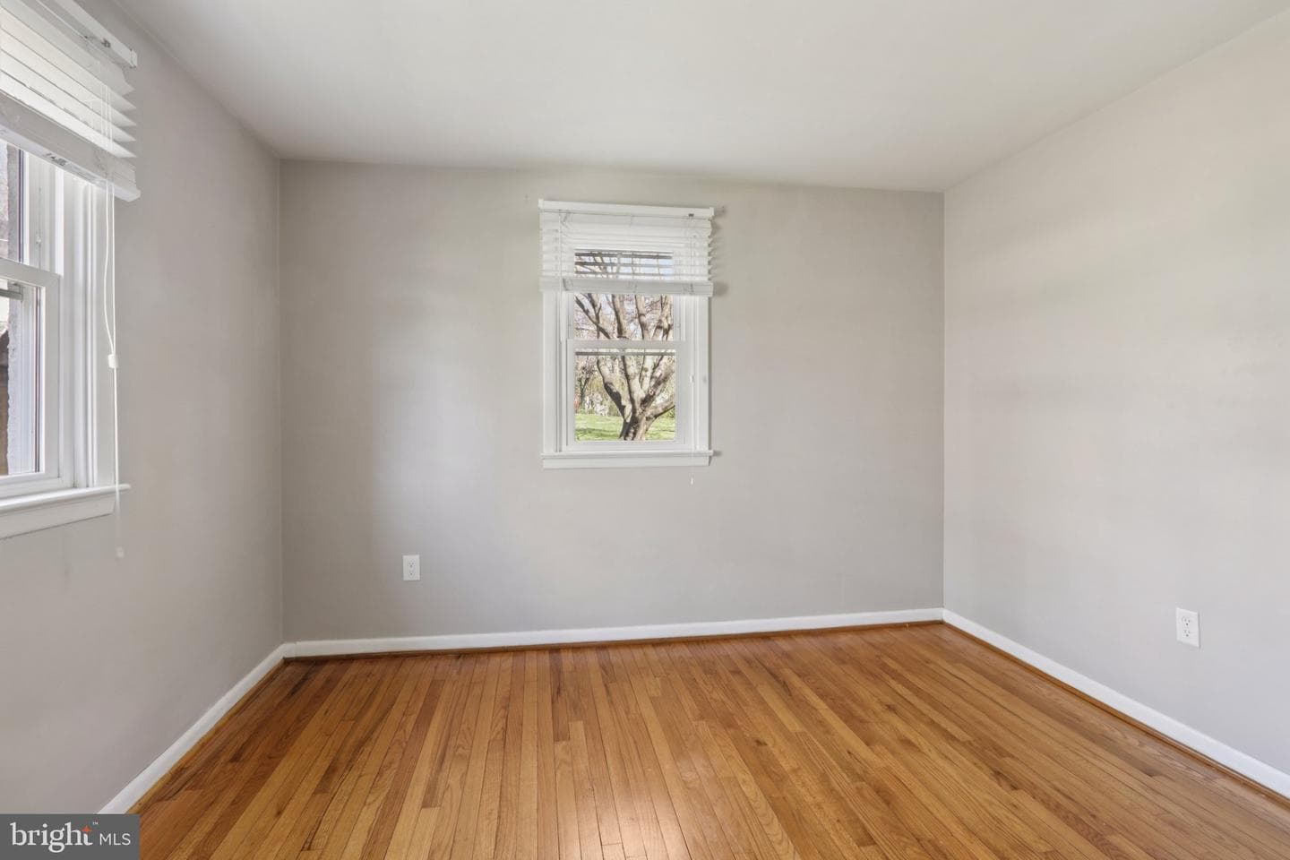 207 Amelia Street photo 24