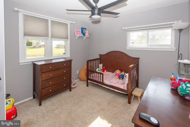 1724 Darland photo 12