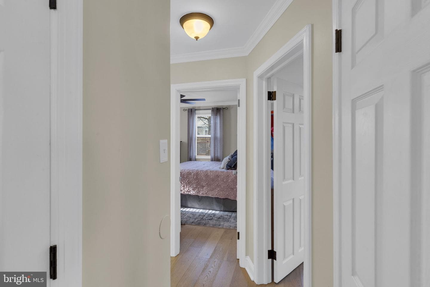 316 E Mount Pleasant Avenue photo 12