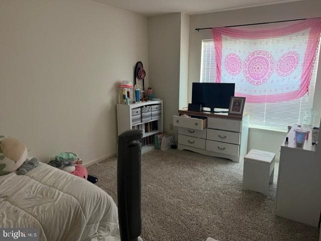 502 Rolling Hill Drive photo 12