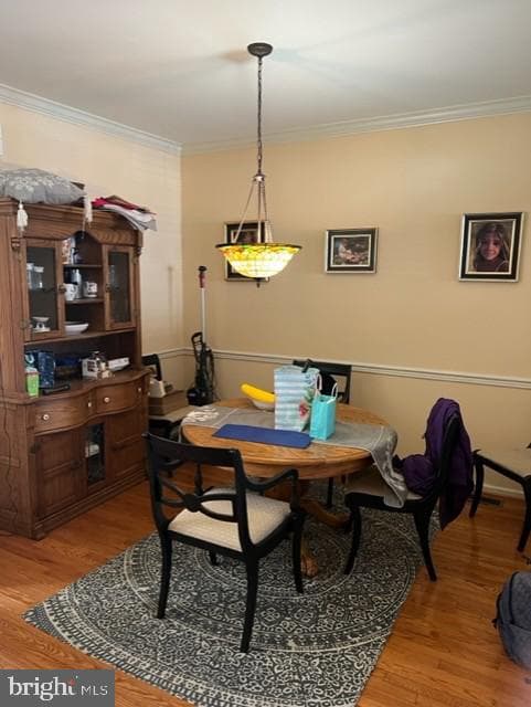 502 Rolling Hill Drive photo 7
