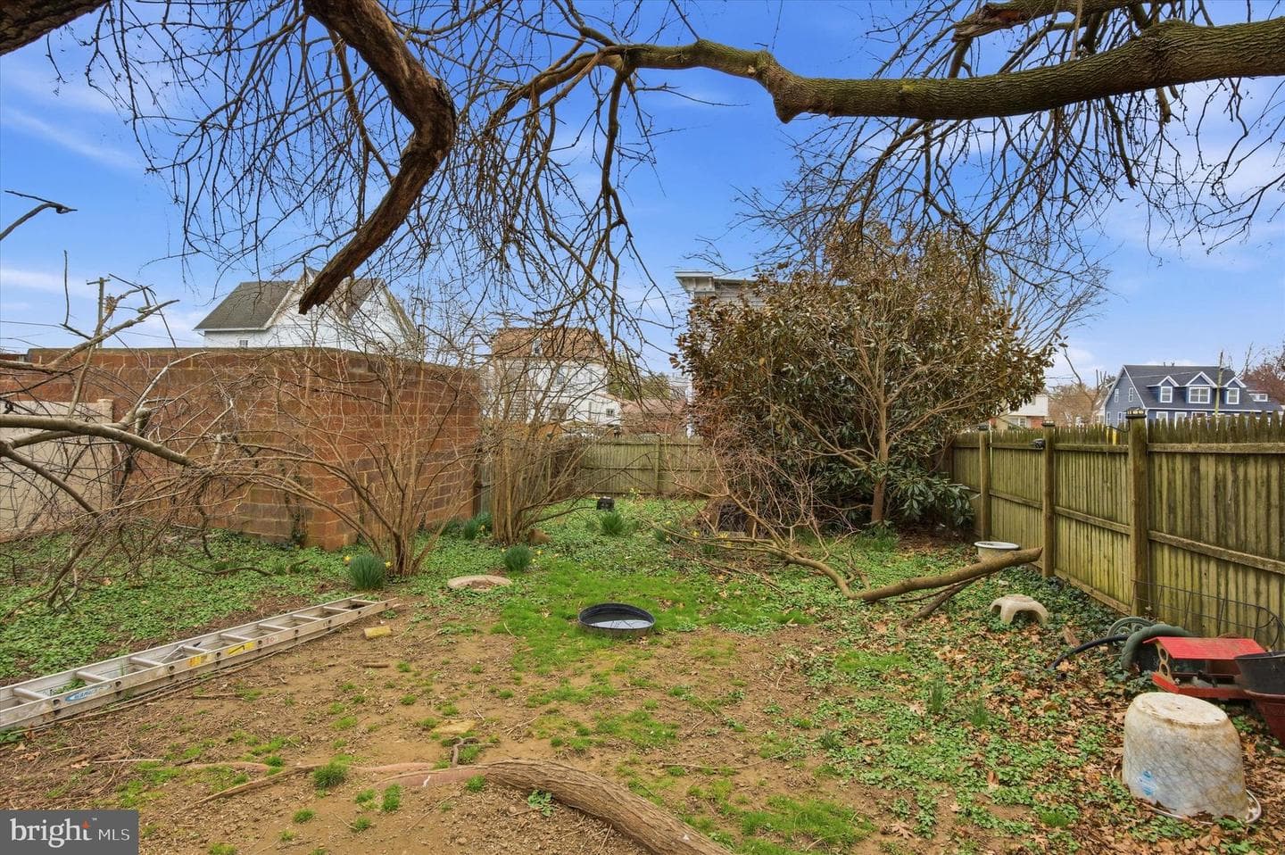257 Cadwalader Avenue photo 14