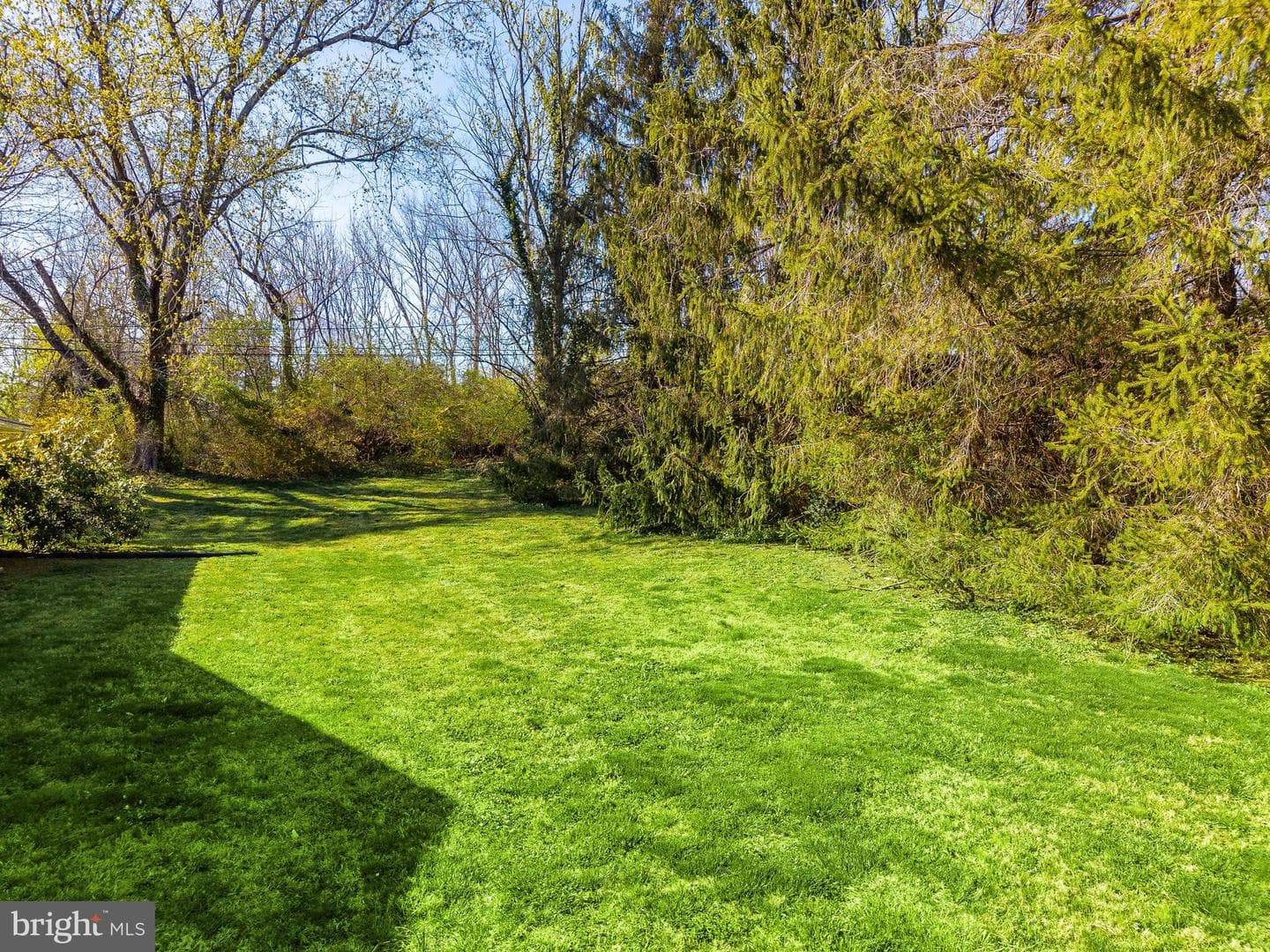 709 Alene Road photo 40