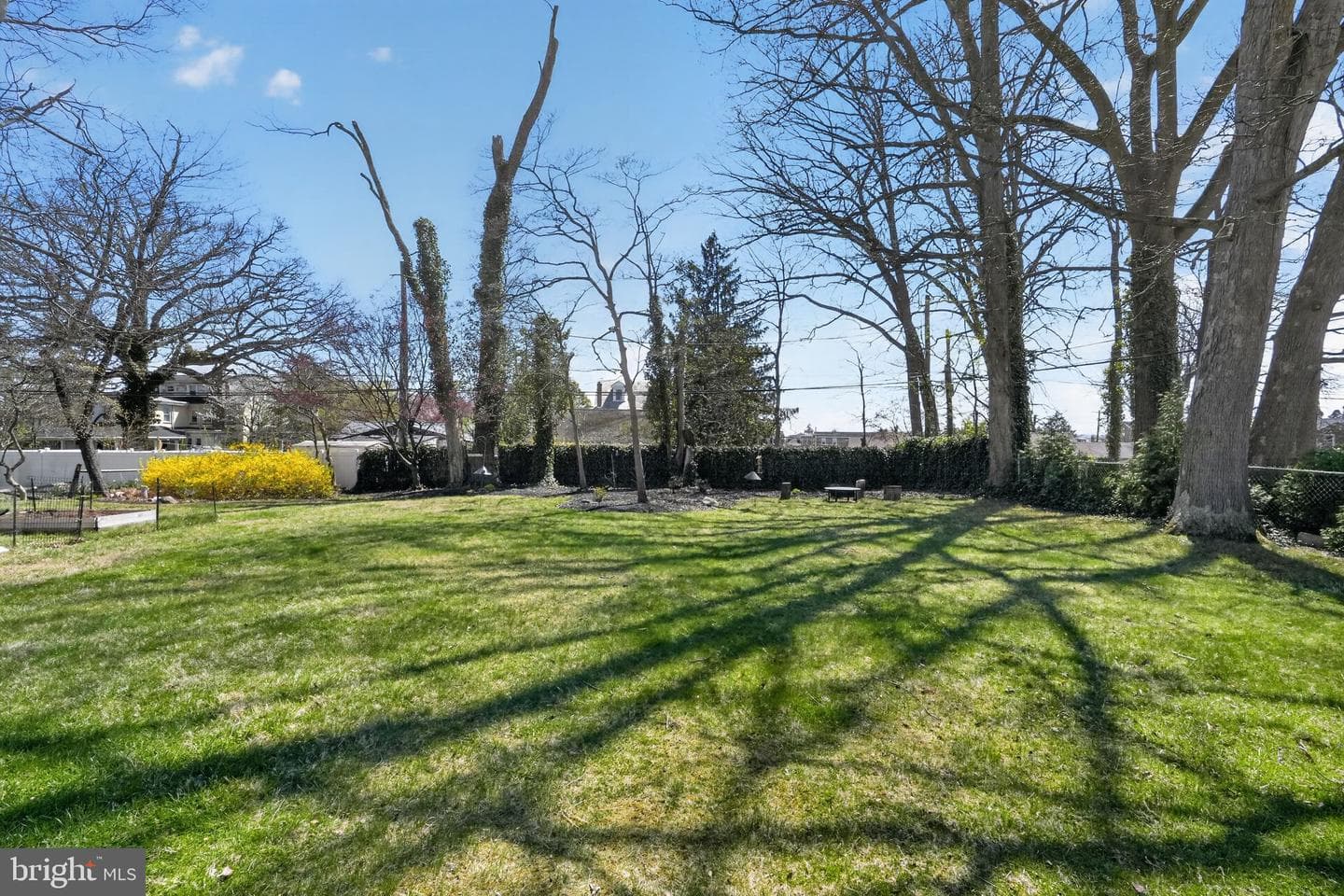 700 Hamilton Street photo 9