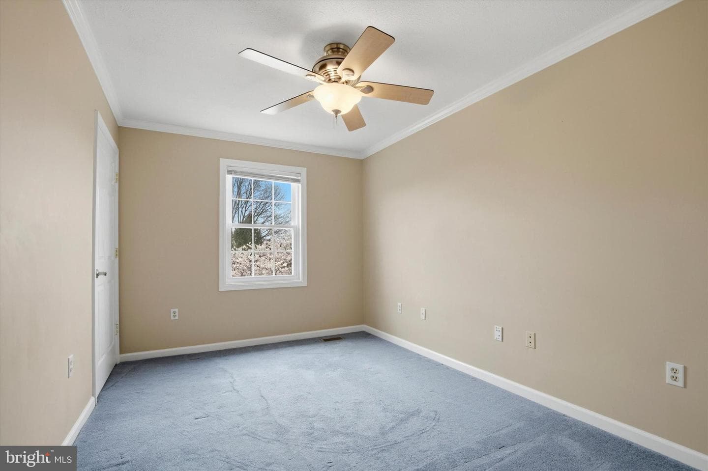 605 Shepard Drive photo 28
