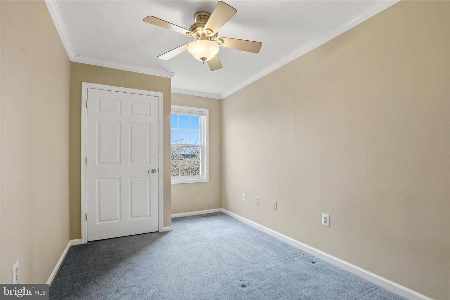605 Shepard Drive photo 29
