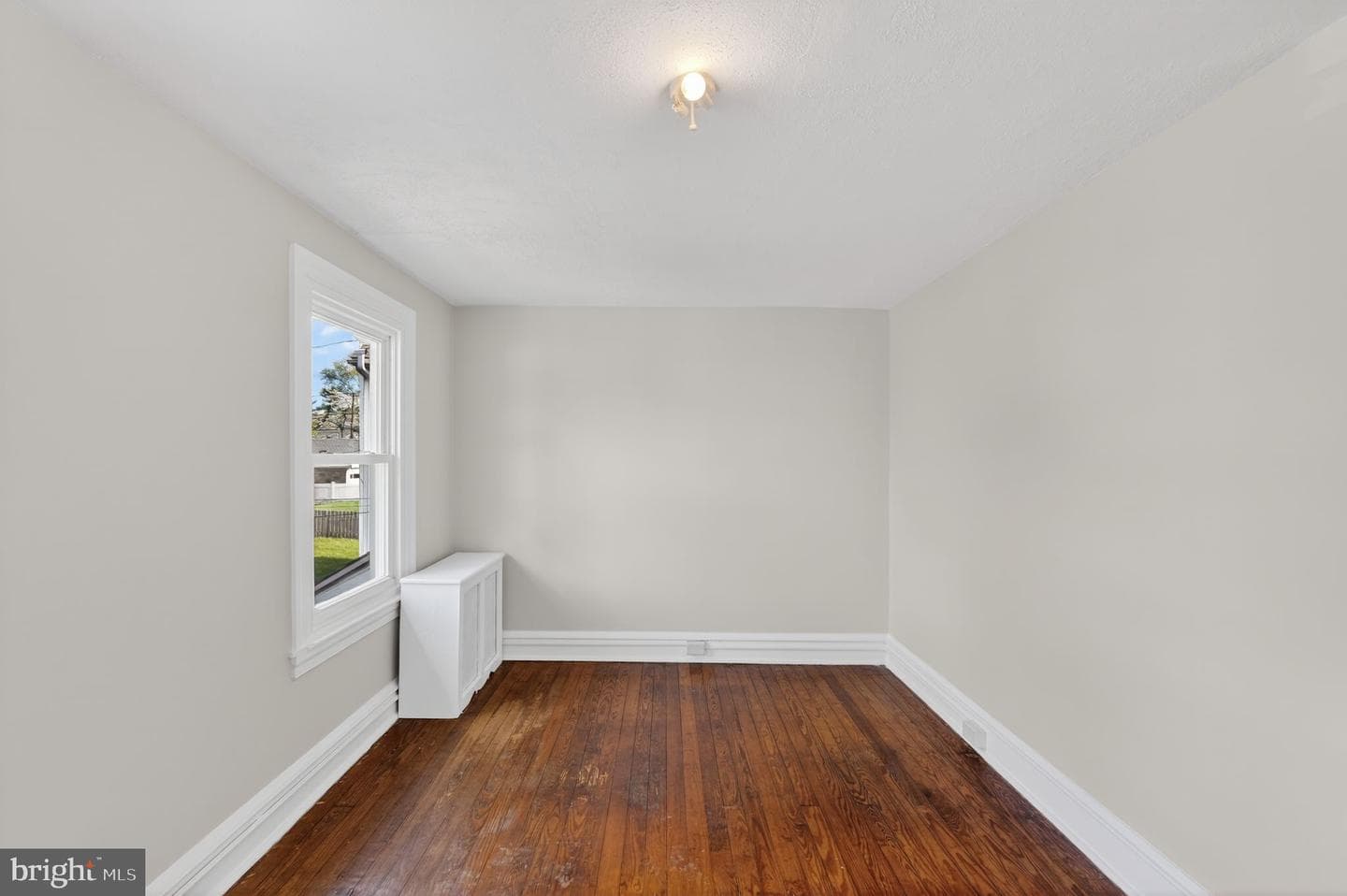 25 Evergreen photo 18