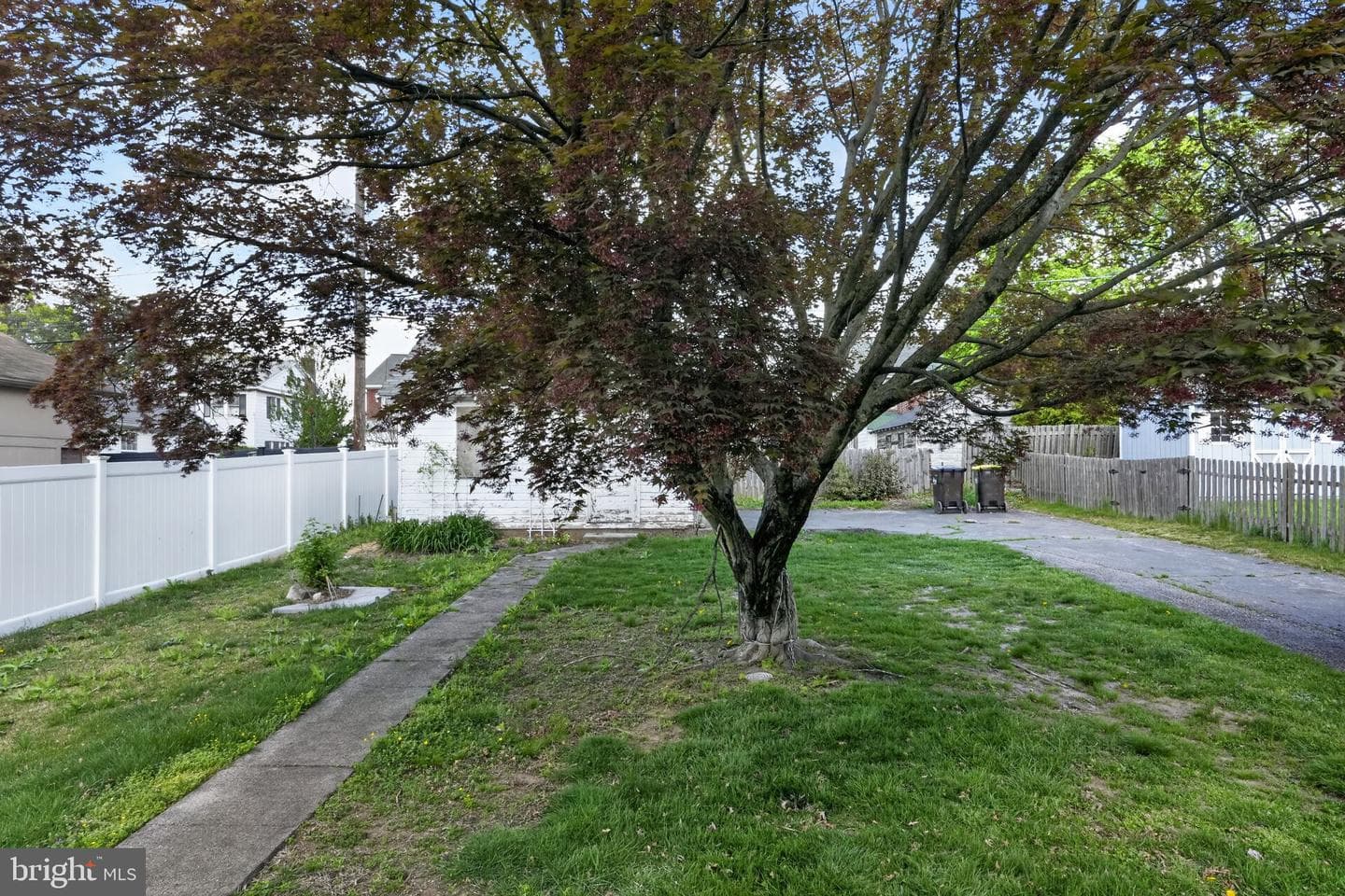 25 Evergreen photo 5