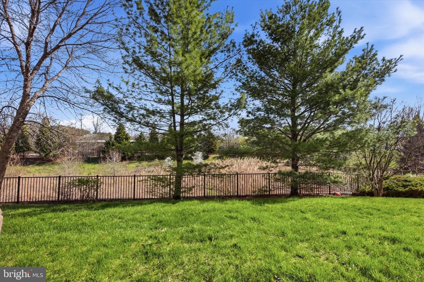 6101 Lilac Court