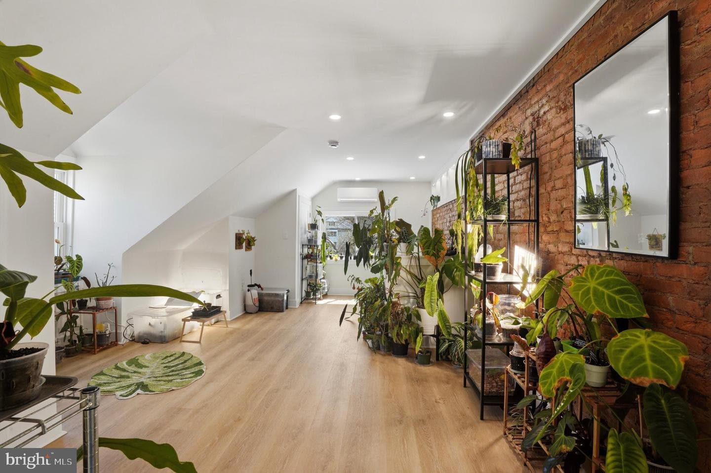 221 Ford Street photo 17