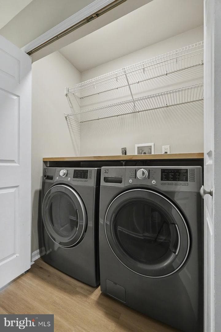 42 White Pine Court photo 18