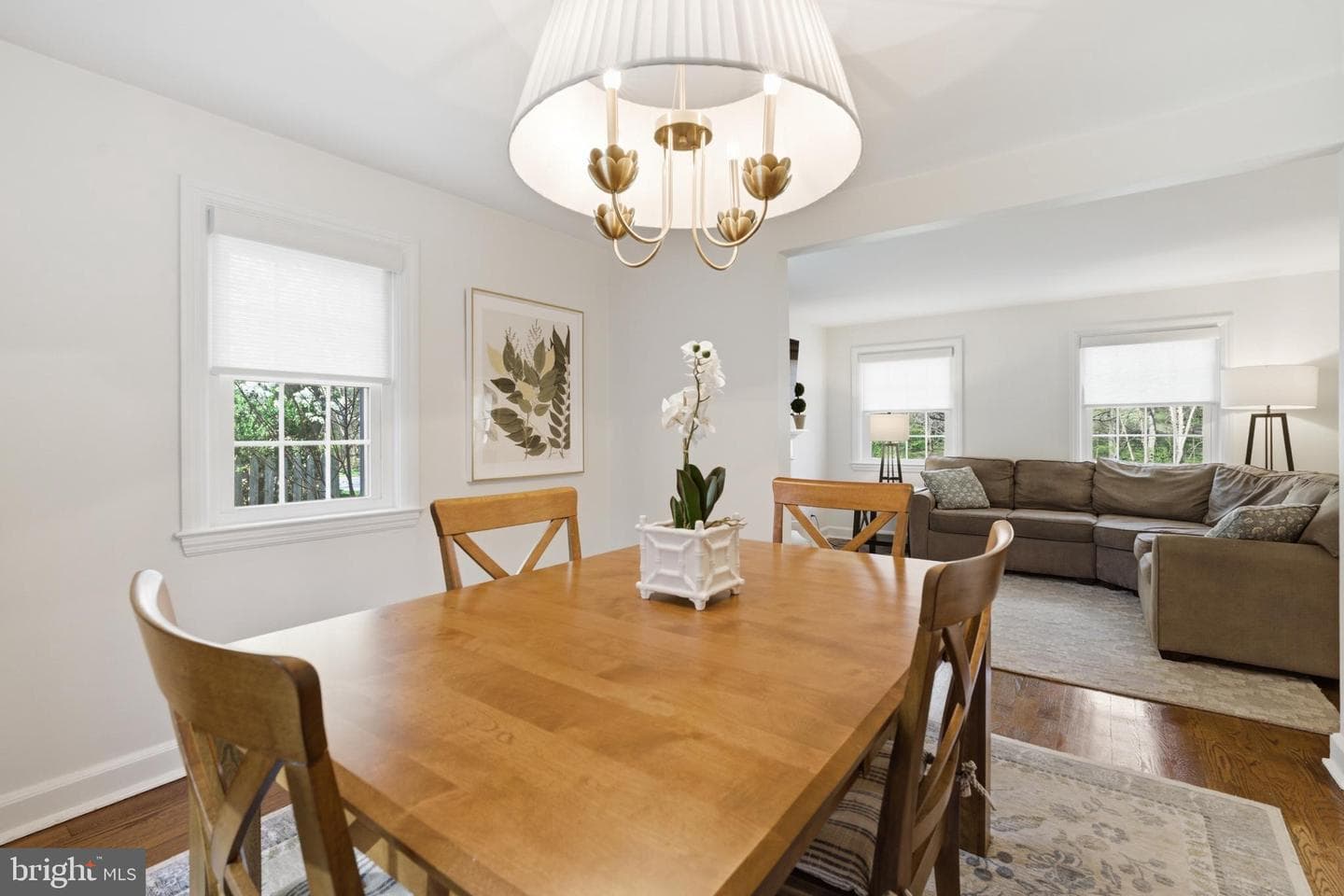 529 Shortridge Drive photo 9
