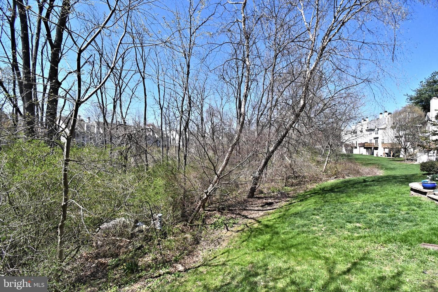 304 Pimlico Way photo 44