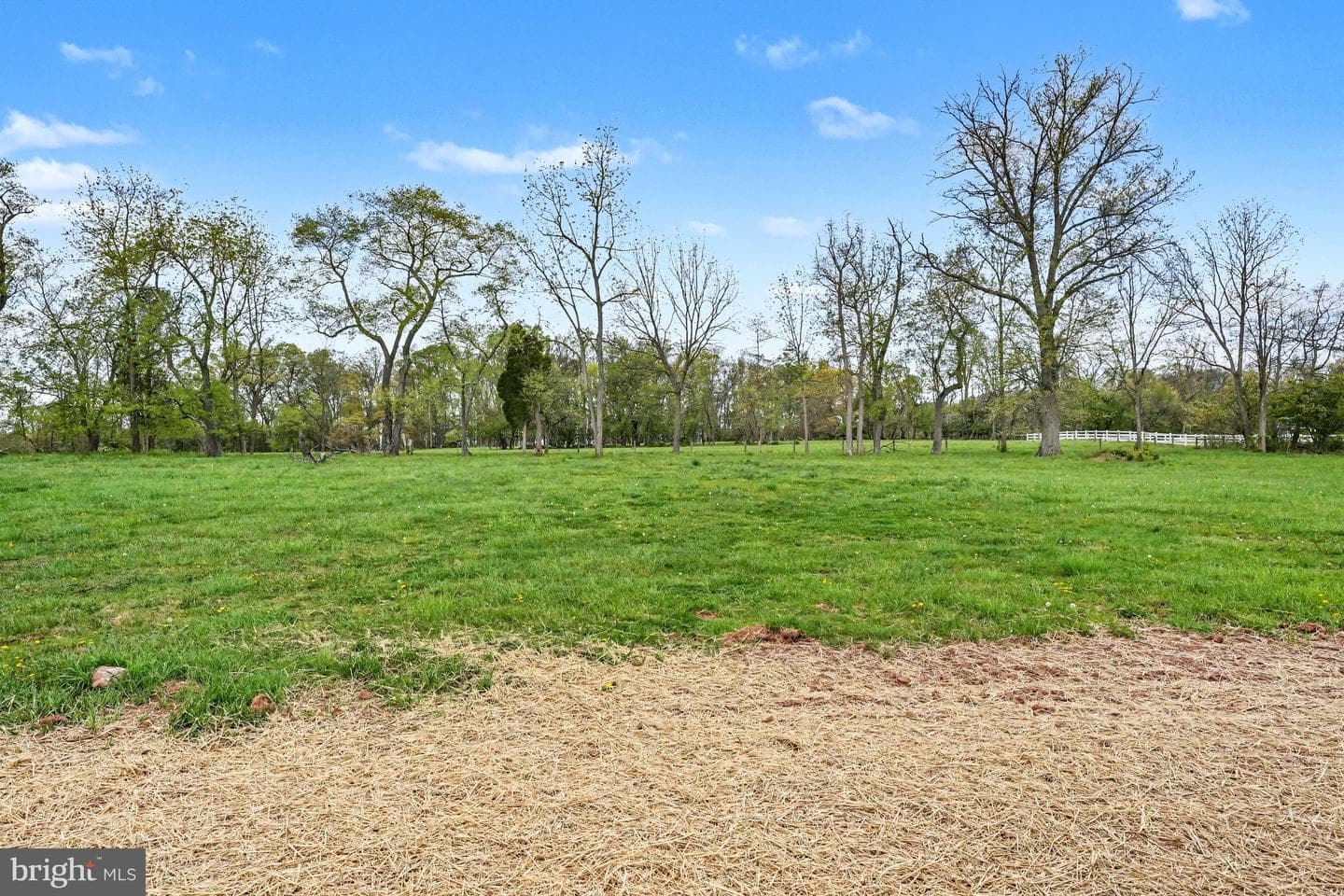 473 Evansburg Road photo 49