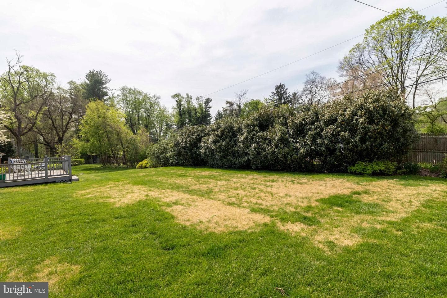 1036 Kipling Road photo 21