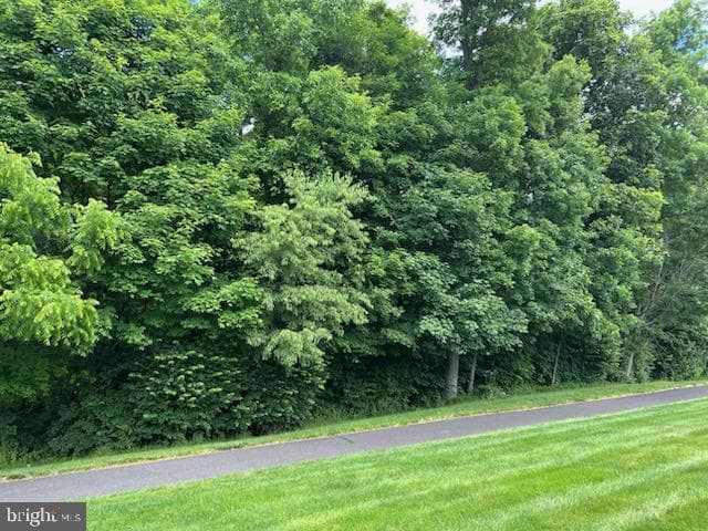 377 Brittany Court photo 28