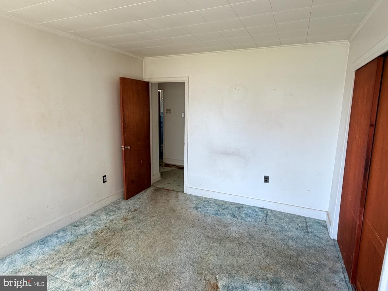 318 Chestnut Street photo 12