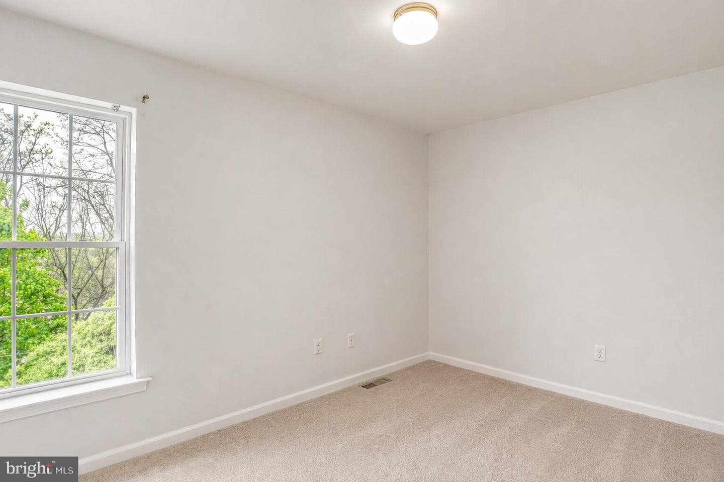 117 W Harmony Drive photo 23