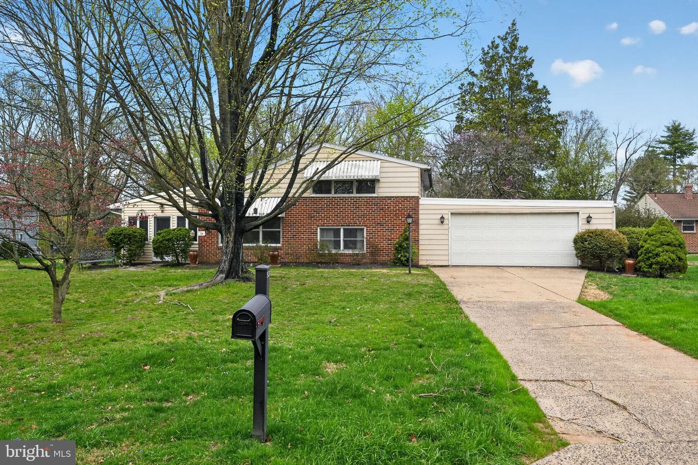 50 Ivy Lane