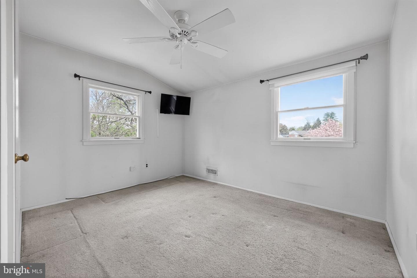 50 Ivy Lane photo 19
