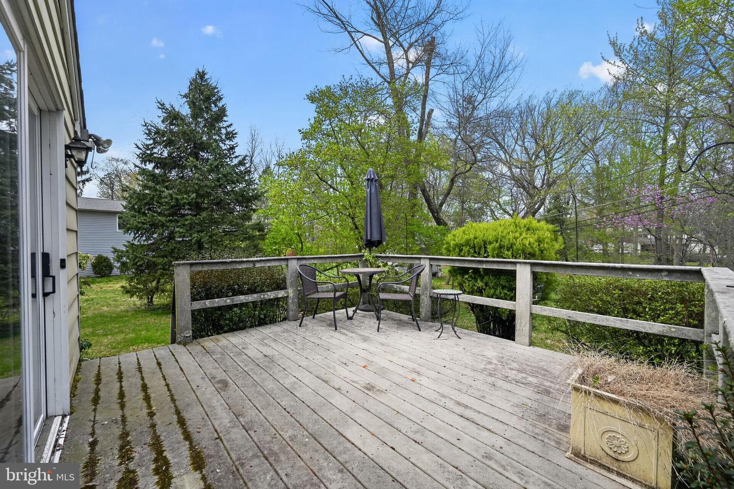 50 Ivy Lane photo 26