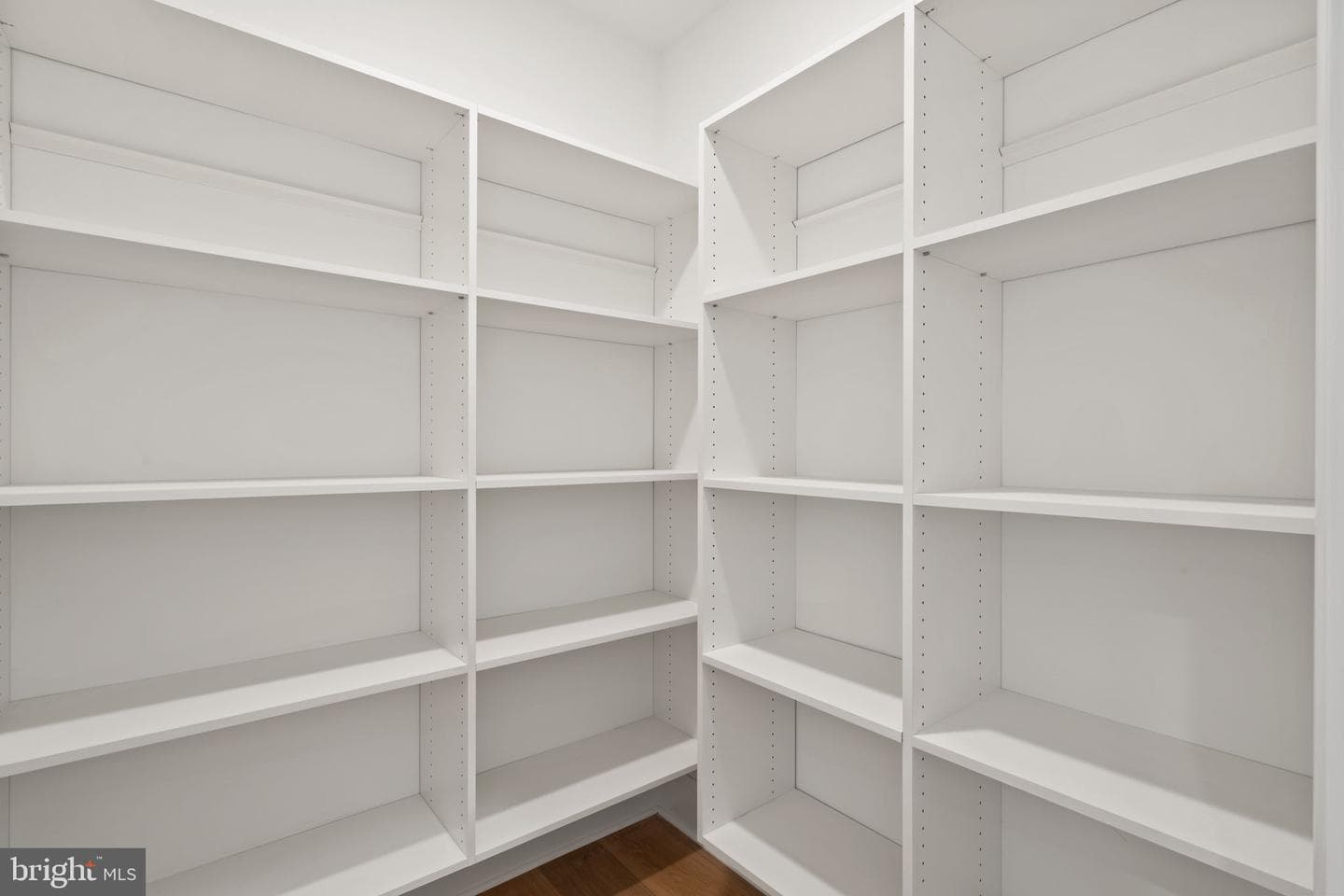 13 Elmwood Avenue photo 15