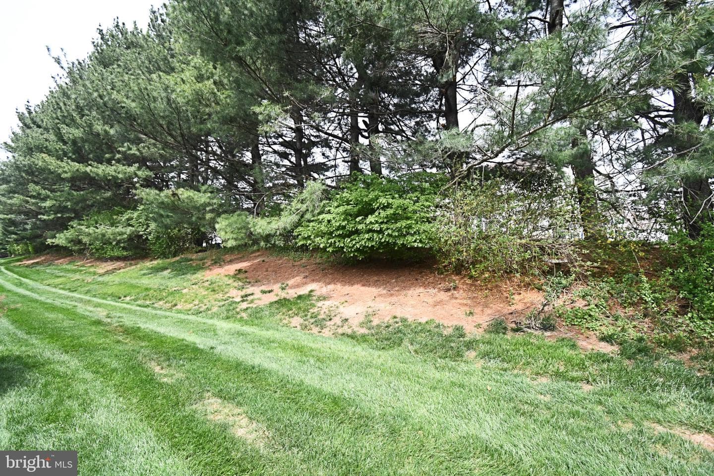 201 Essex Court photo 46