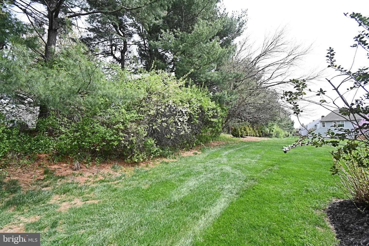 201 Essex Court photo 47